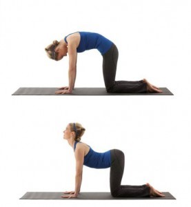 a woman doing a cat camel exercise